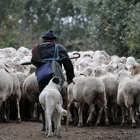 Εξοχικό σπίτι Real La Mula De Arribes