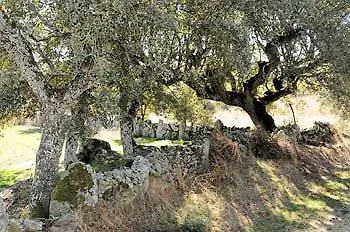 Country house Real La Mula De Arribes Villardiegua de la Ribera