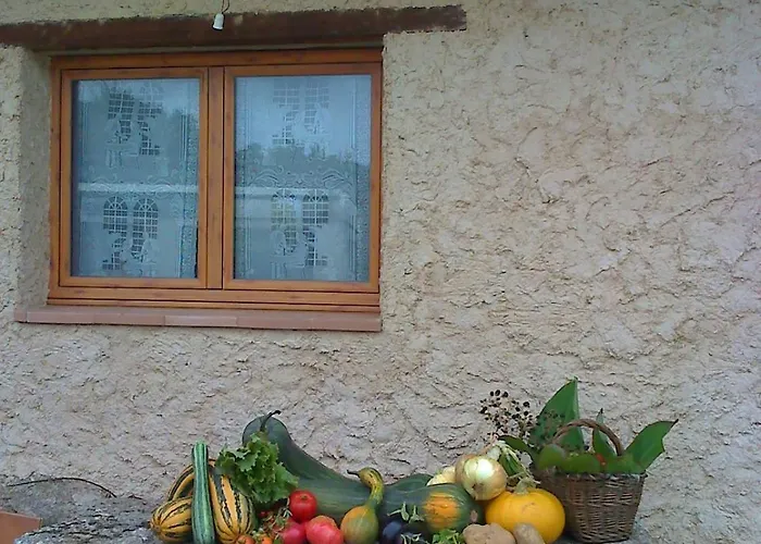 컨트리하우스 Real La Mula De Arribes 빌라디크데라리베라