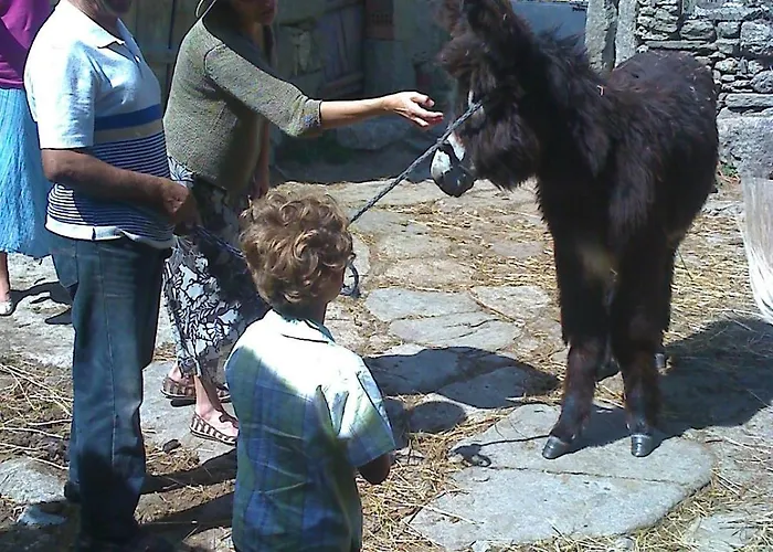 Real La Mula De Arribes 빌라디크데라리베라
