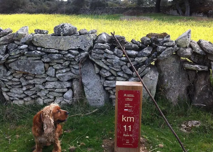 Εξοχικό σπίτι Real La Mula De Arribes