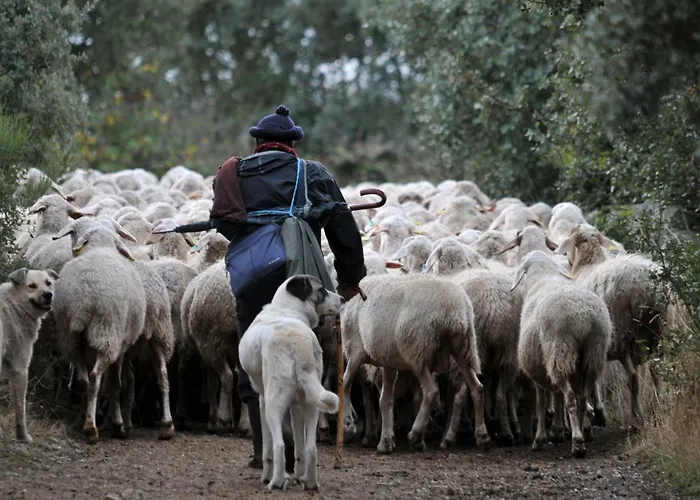 Εξοχικό σπίτι Real La Mula De Arribes
