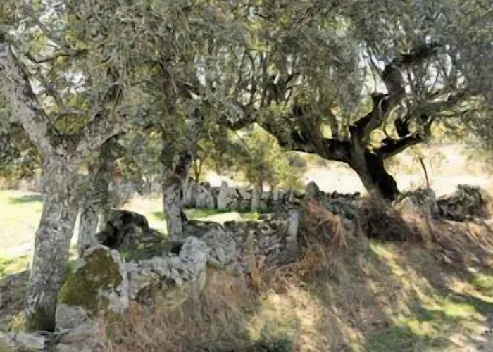 Real La Mula De Arribes 컨트리하우스 *