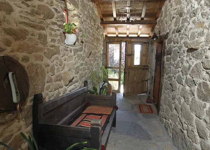 Real La Mula De Arribes *